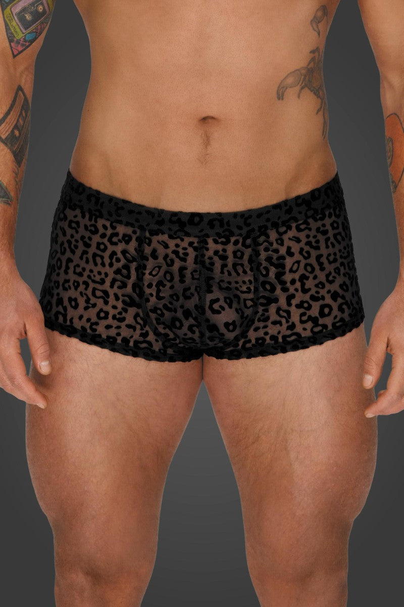 Leopard Flock Shorts H072 - S Leopard Flock Shorts H072 - S